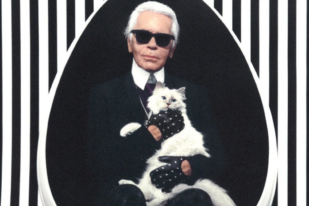 karl lagerfeld choupette shoes